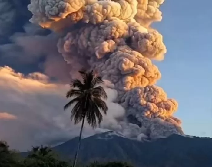 Kolom abu vulkanik tebal membumbung dari puncak Gunung Lewotobi Laki-Laki di Flores, NTT, saat terjadi letusan pada 16 Oktober 2025, terlihat jelas di langit dengan latar pohon kelapa di lereng gunung.